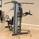 Body-Solid Vertikale Kniehebe- / Dip-Station - FKR